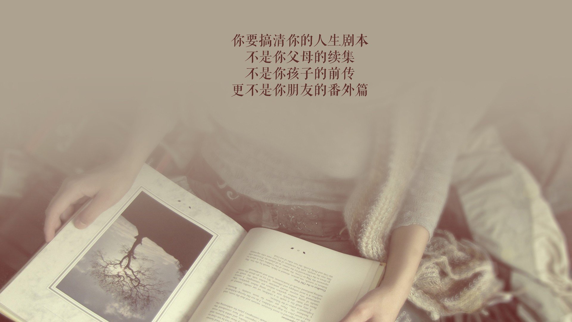史上盖帽高度集锦：谁的封盖最令人震撼？，盖帽范围 盖帽高度
