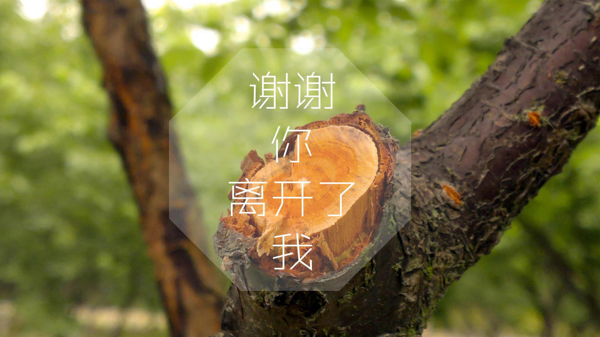 篮球青训基地数字化管理系统逐步完善，篮球训练管理系统