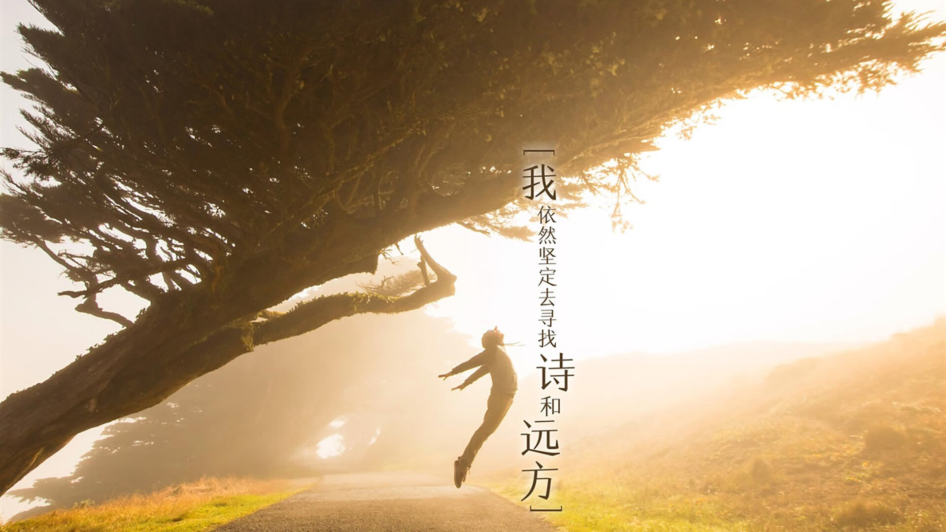 活塞队新秀表现令人期待，活塞队队球员名单