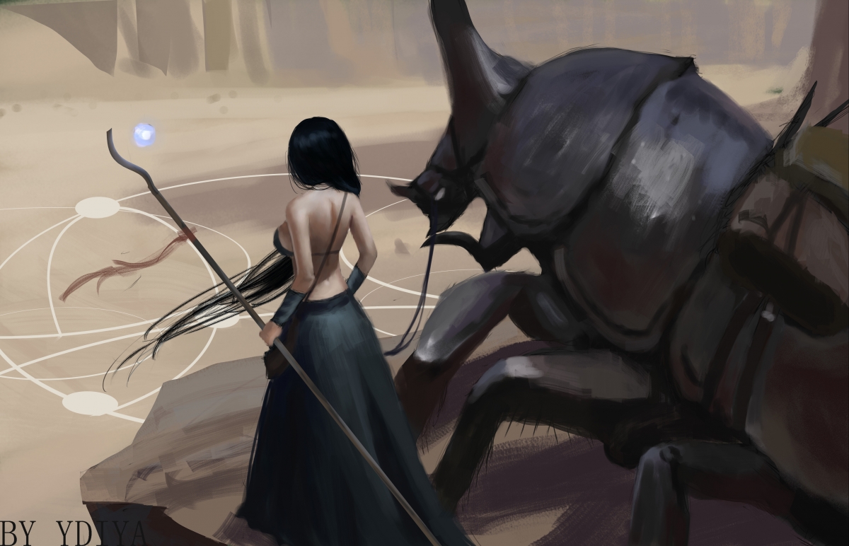 德甲赛事季票政策调整对球场复看率的影响,德甲赛季结束休息多久