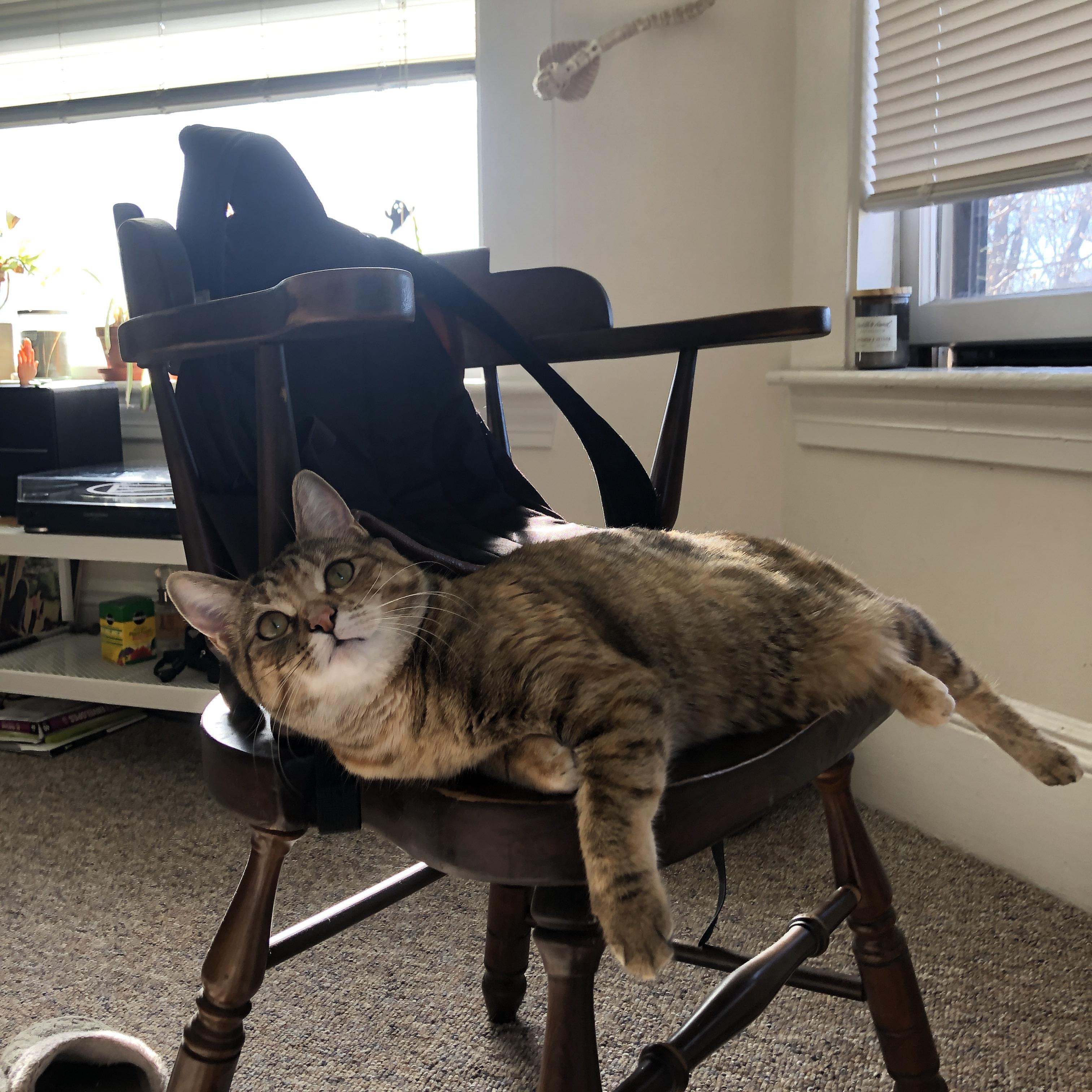 C罗再次上演帽子戏法 刷新国家队进球纪录，c罗的帽子戏法视频大全