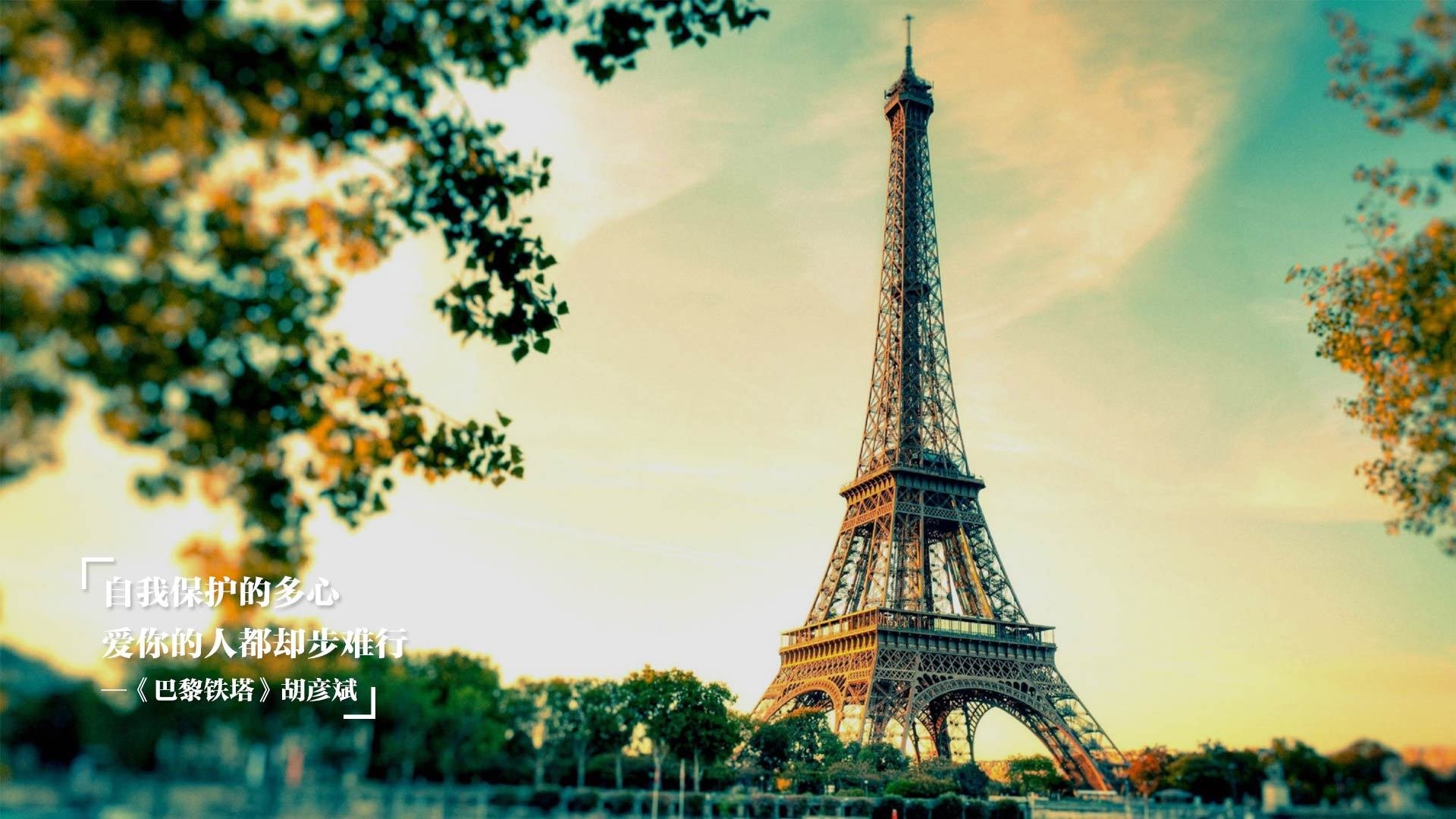 开云官方网页登录-“香港跑步新风潮！SHO-CHAN Run 2025选手们冲刺全力”