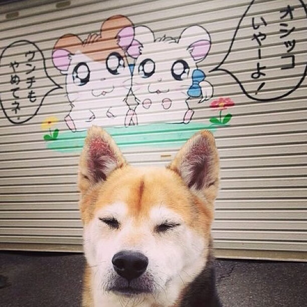 中国女篮比赛中展现坚强意志，中国女篮真棒