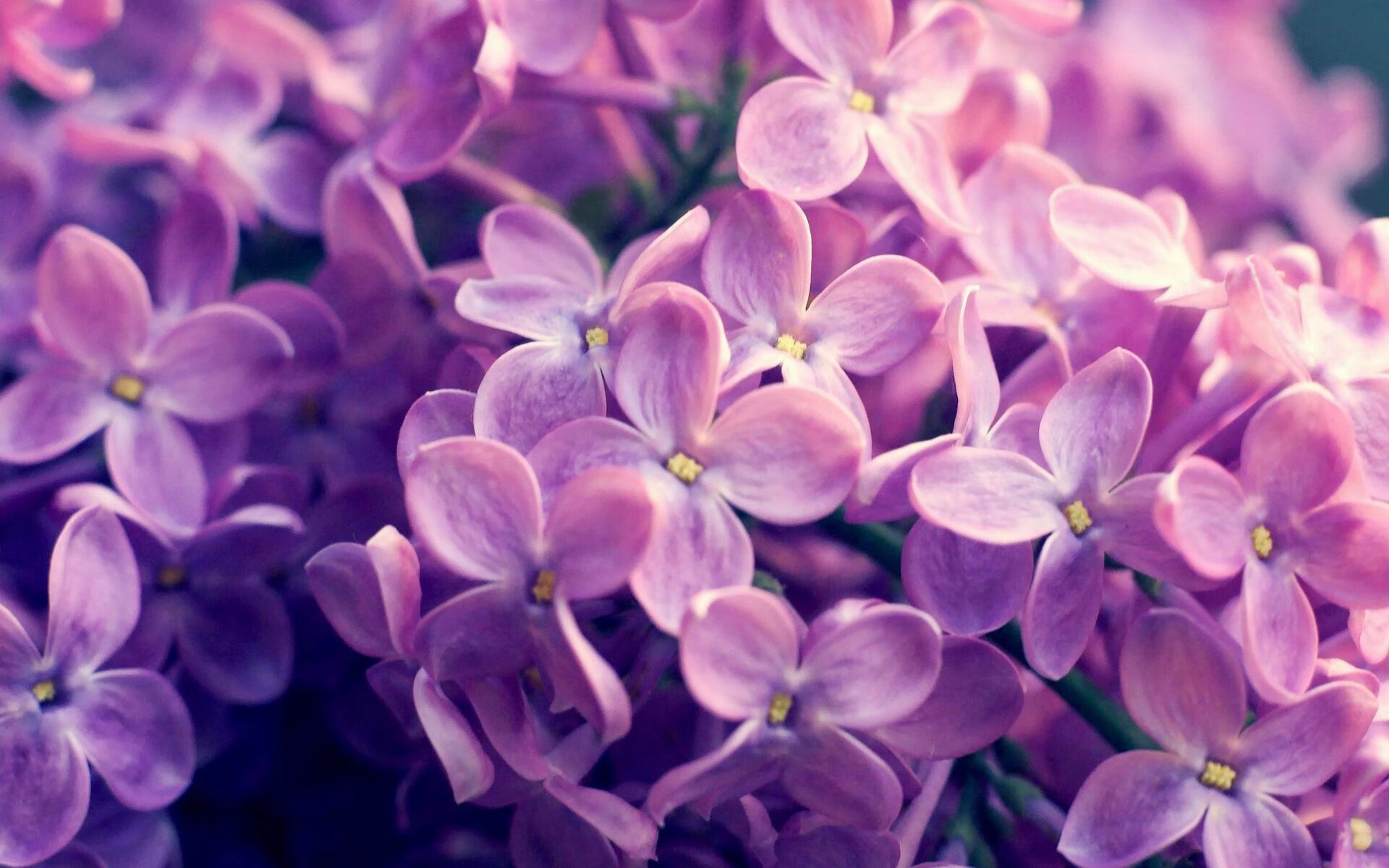 Kaiyun官方登录入口-加的斯门将多次神扑力保球门不失，加的斯升上西甲