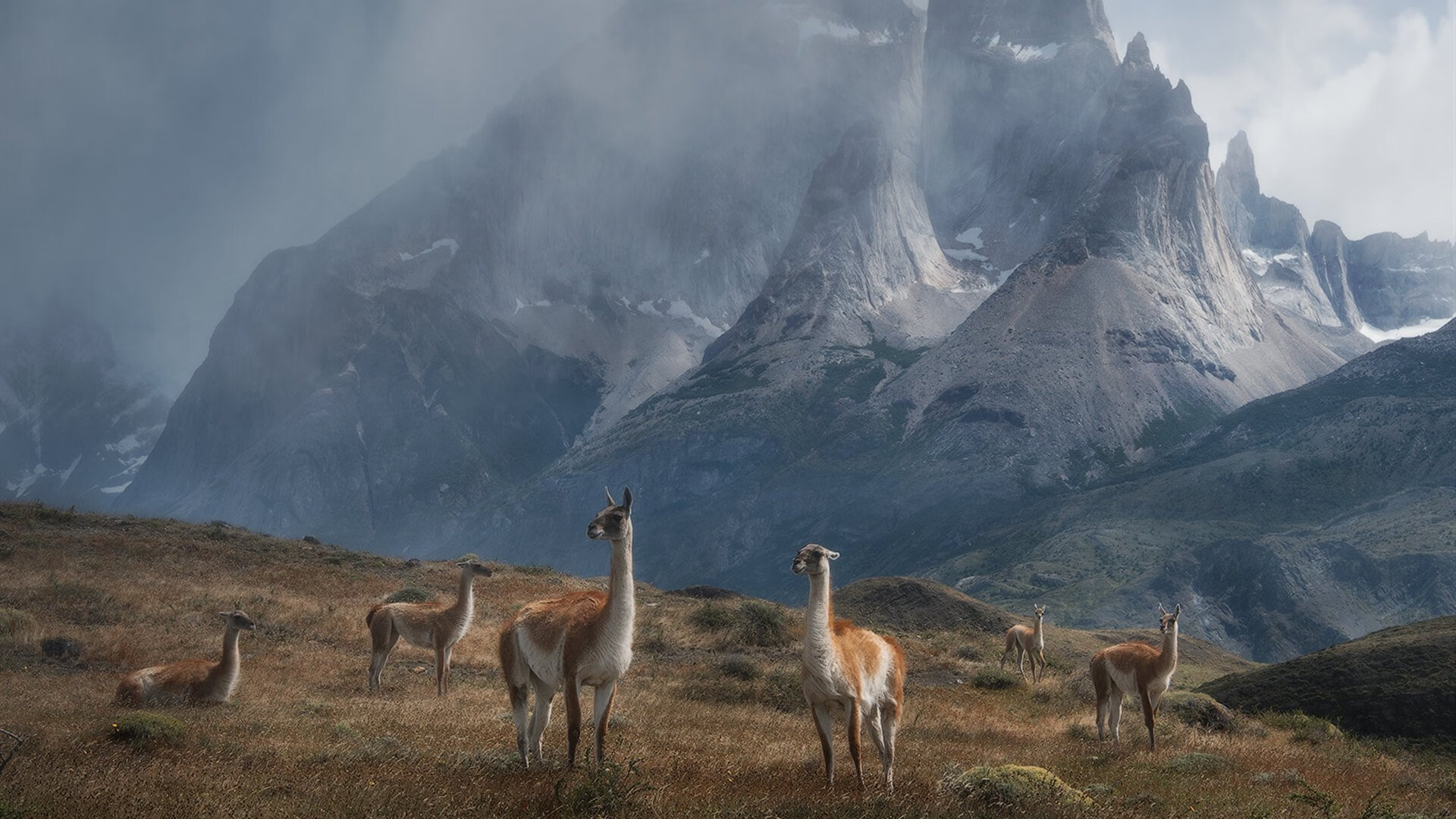 乌拉圭女篮在南美锦标赛中持续强势，体育事业持续腾飞，乌拉圭篮球联赛2021