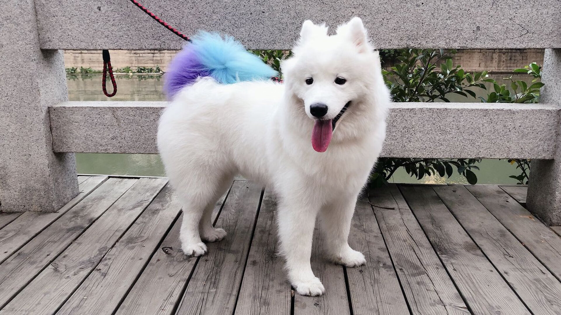 体育新闻中心发布全国田径锦标赛地点调整承办城市，全国田径锦标赛百度百科