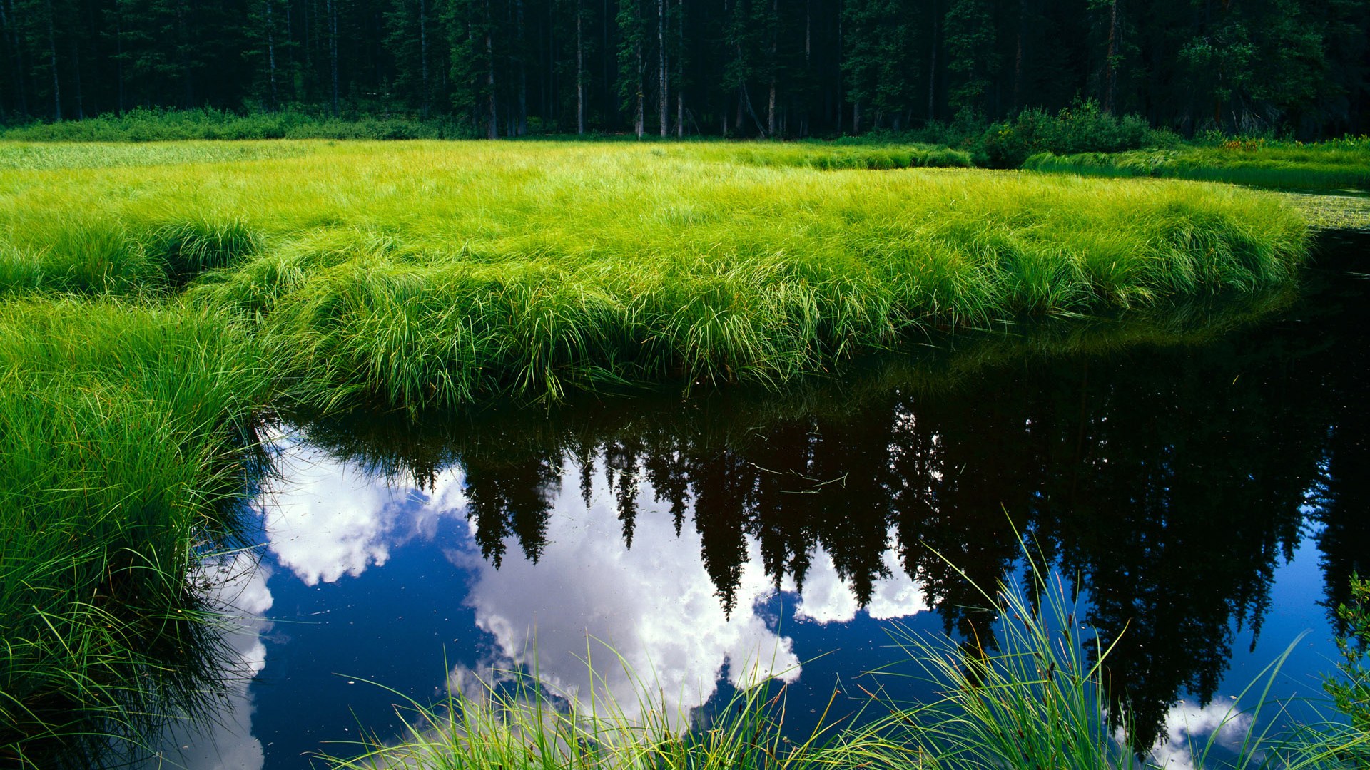 城市篮球文化节持续举办推动篮球运动与城市文化融合,城建篮球队