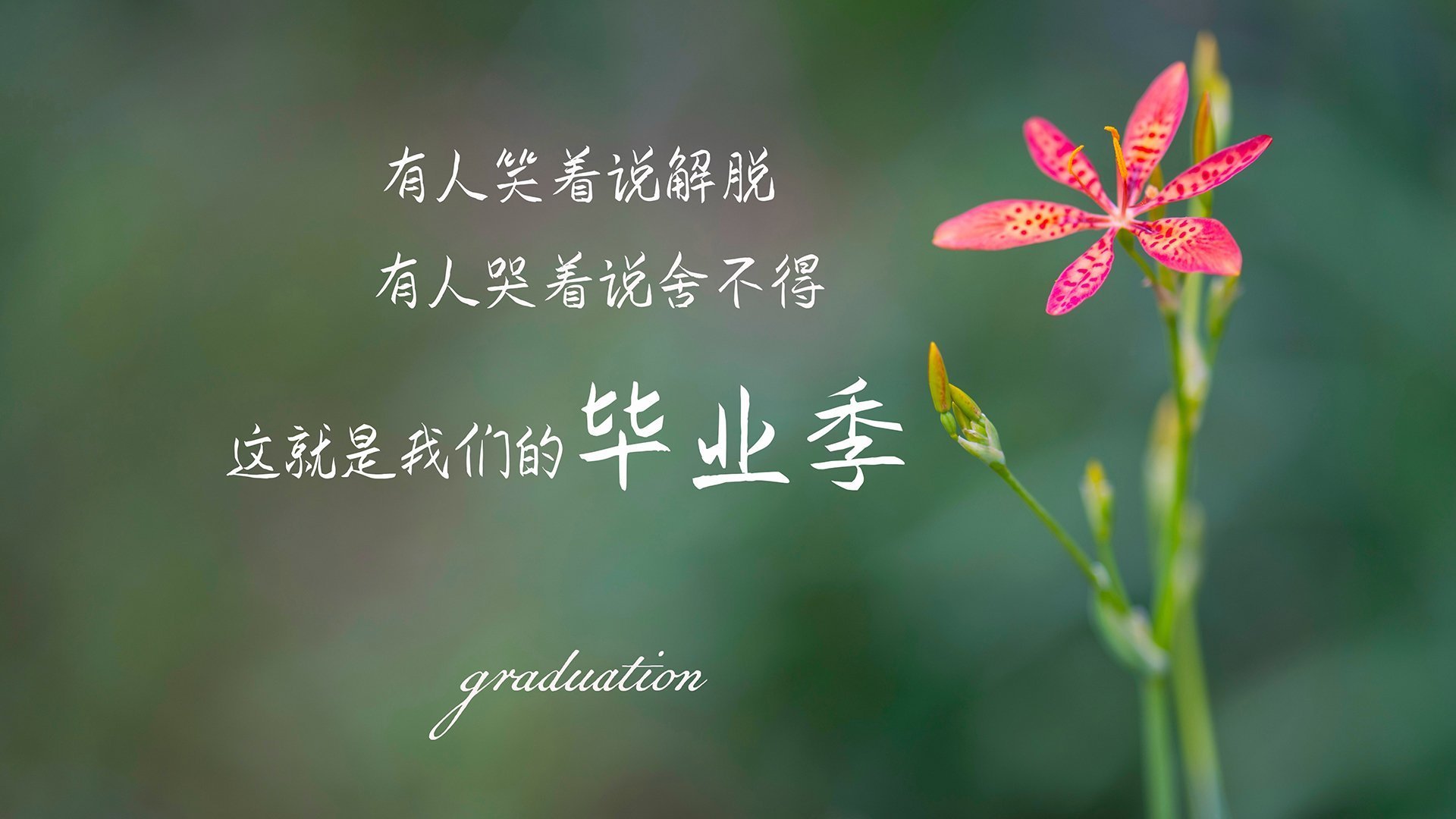 西甲攻防战：精彩瞬间不断刷新纪录！，西甲榜首大战